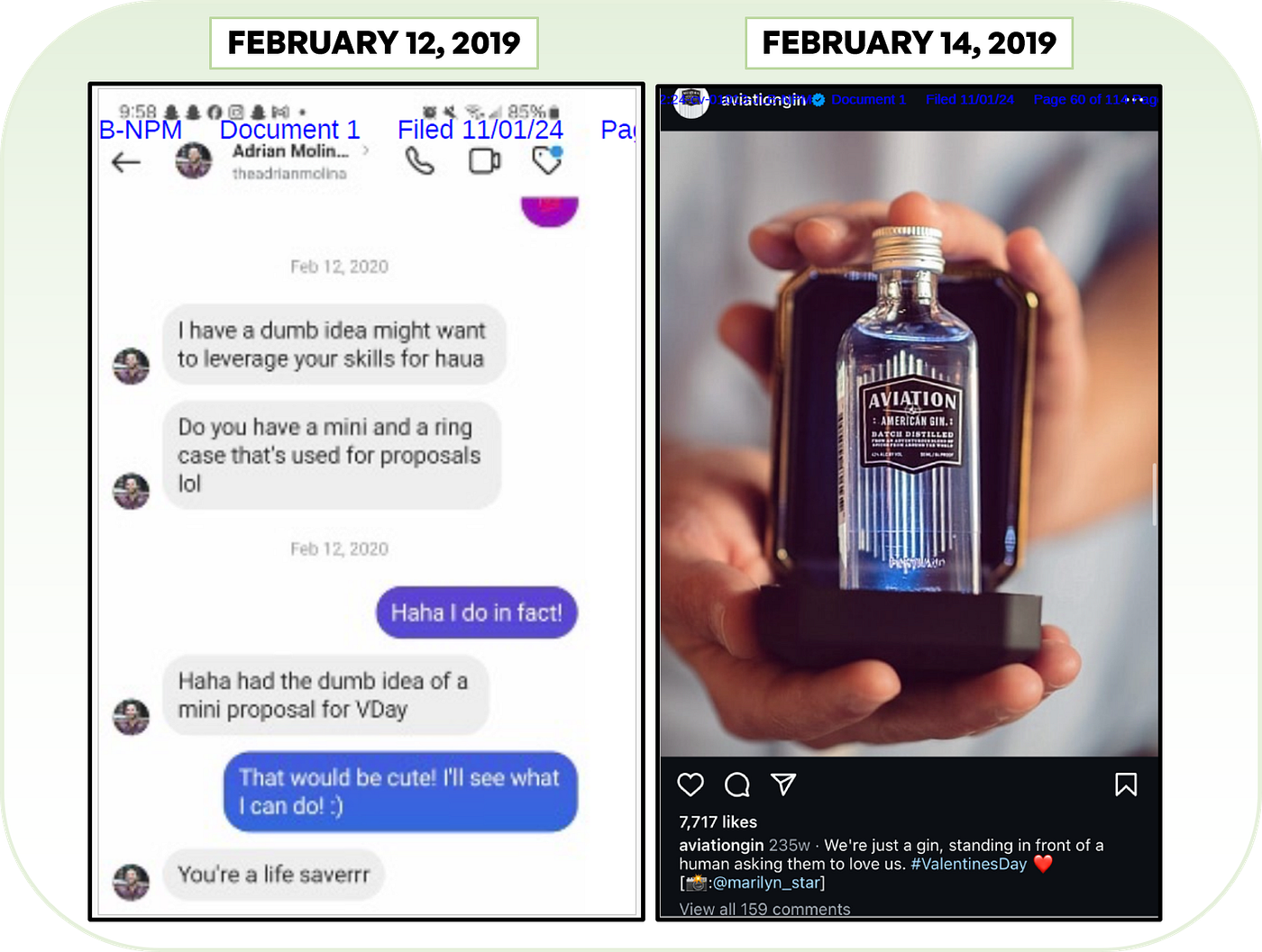 Molina requests a photoshoot involving a wedding ring proposal with a mini bottle of Aviation Gin and Starkloff delivers the photo within a day, which Molina uploads on Valentine’s Day