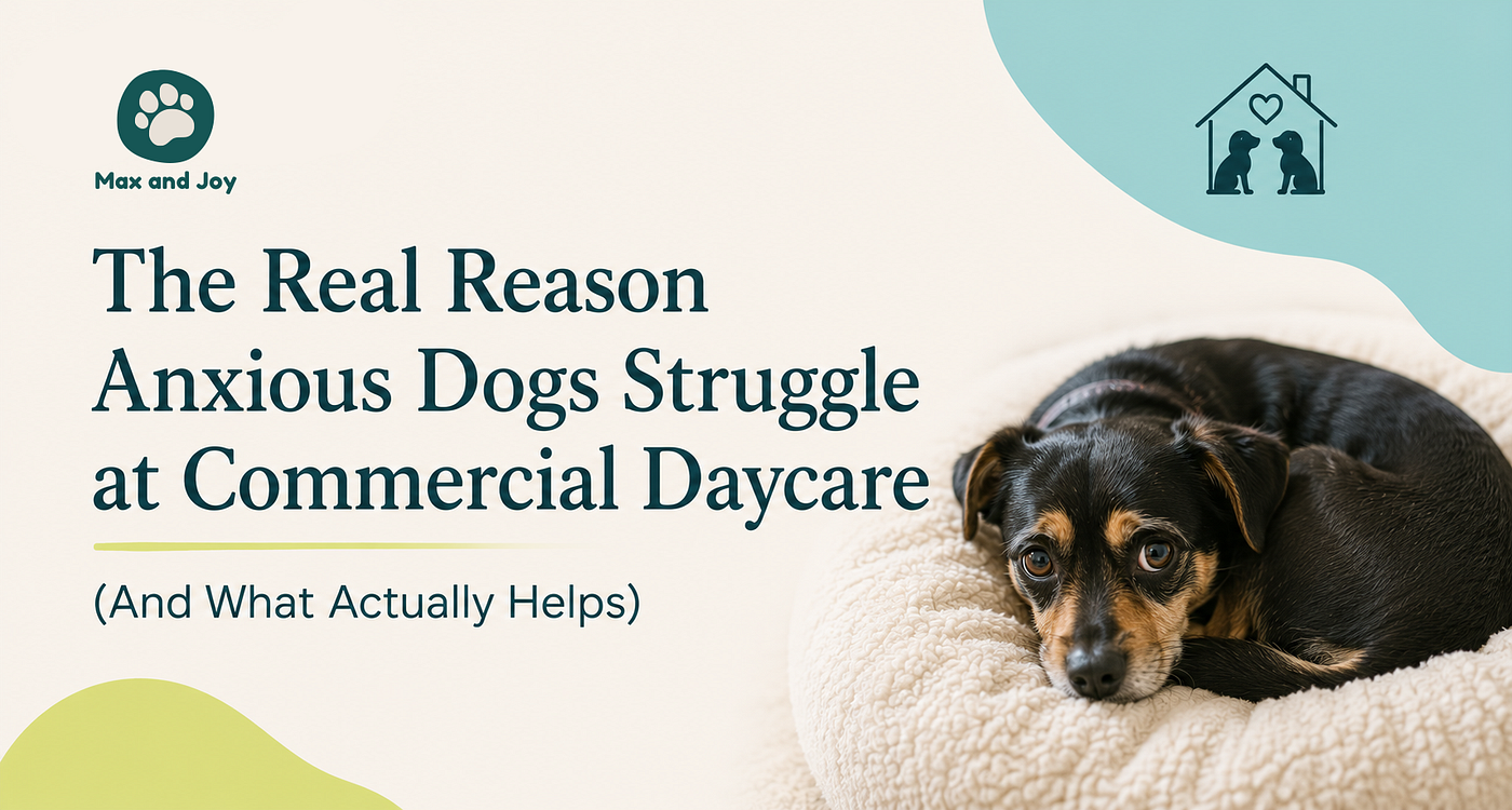 Why Anxious Dogs Struggle at Commercial Daycare (And What the Research on Dog Stress tells us)