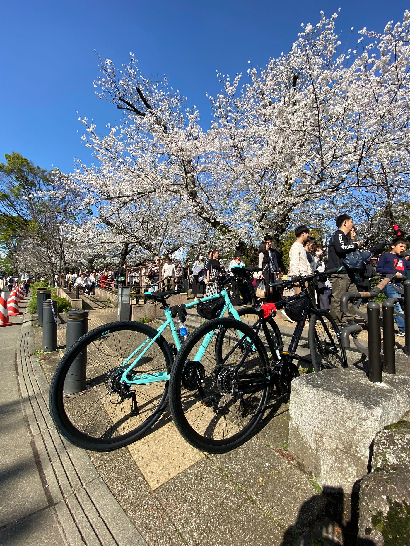 Chidorigafuchi: Flying through the legendary pink tunnel at Chidorigafuchi Moat.