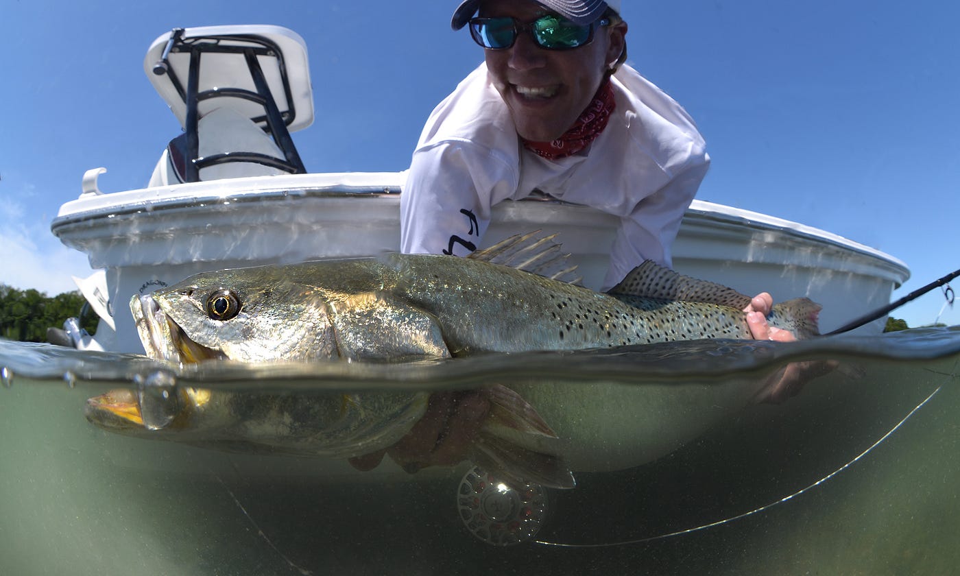 A Fly-Fishing Photographer. Fly Fishing Photography : Capturing the…, by Fly  fishing Boca Grande