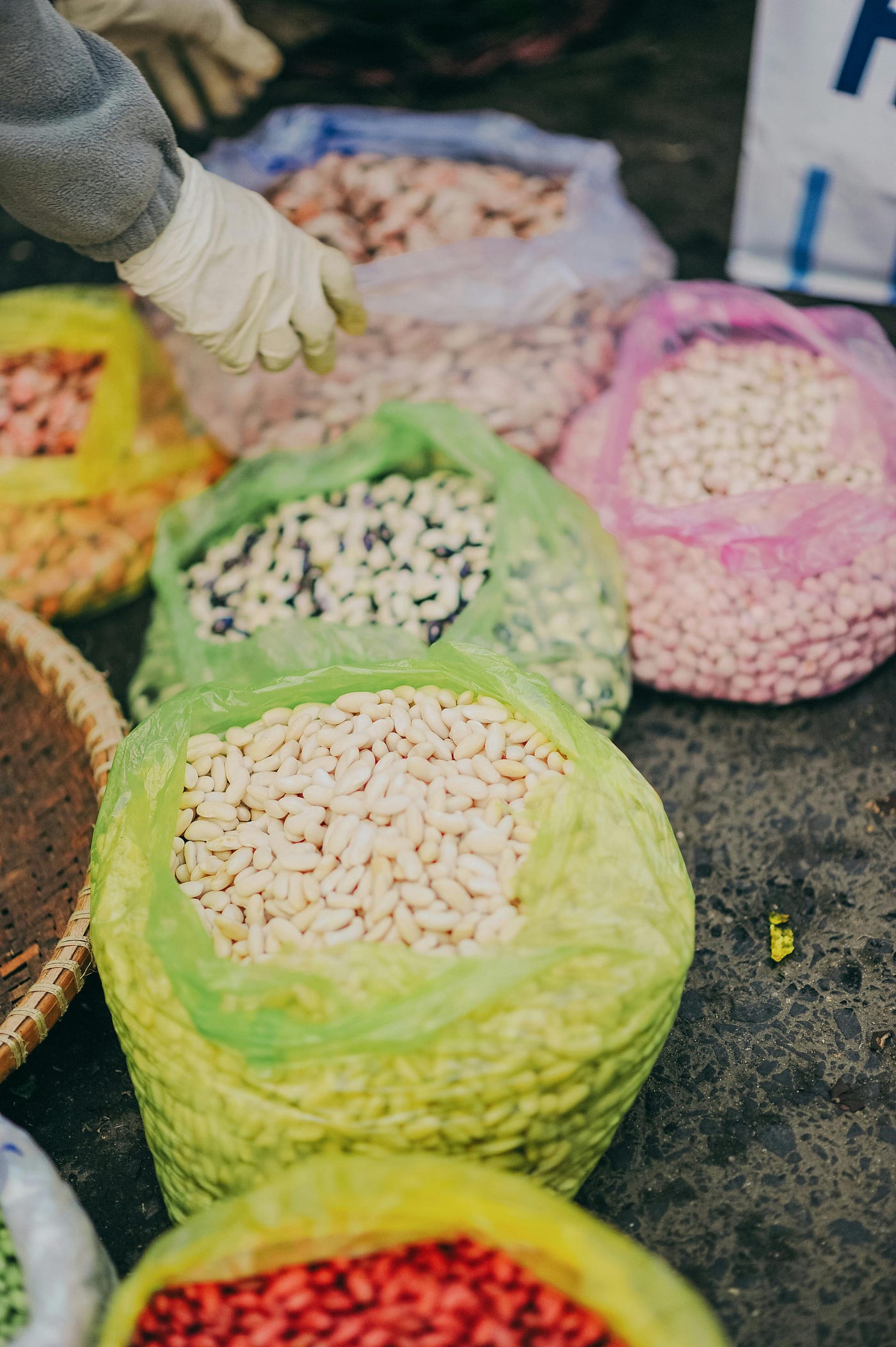 How to Find a Reliable Raw Cashew Supplier Guinea Bissau for Bulk Imports