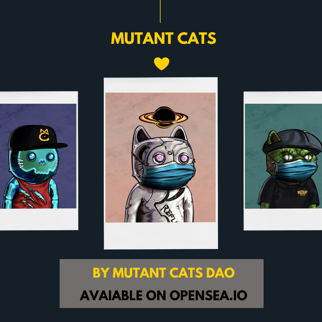 10 CATS NFTS. Feline Frenzy 10 Cat NFTs to Complete… | by NFT Addictio |  Medium