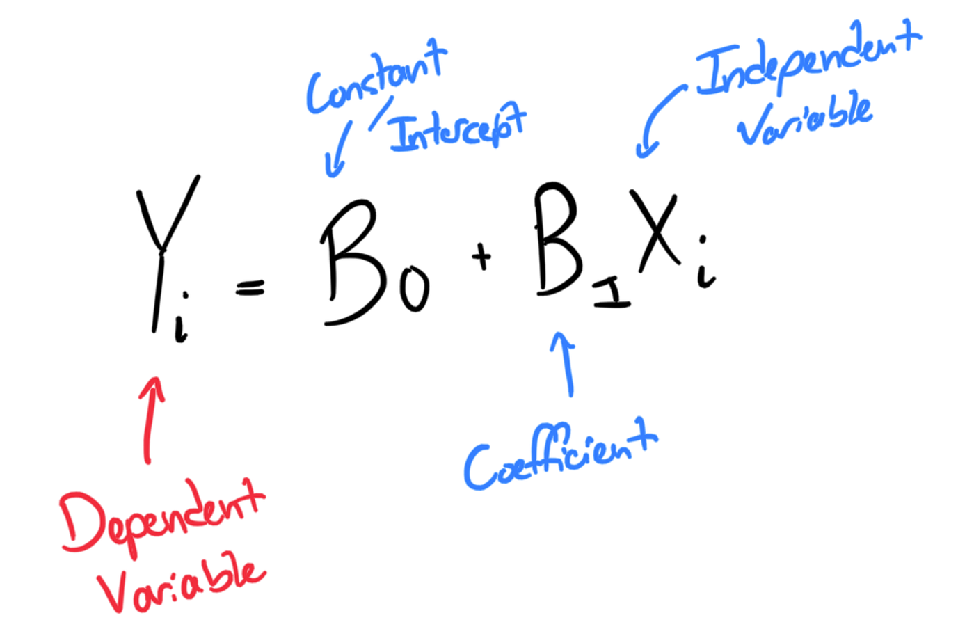 Feature Importance for Any Model using Permutation | by Taylor Jensen |  Medium