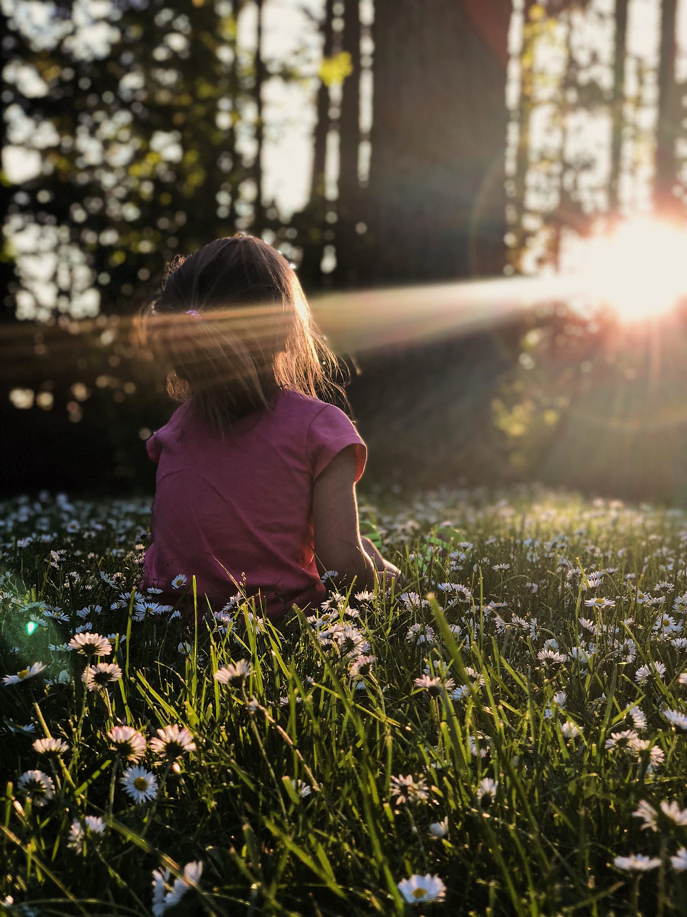 A child sitting in a field of flowers with the sun shining on her.