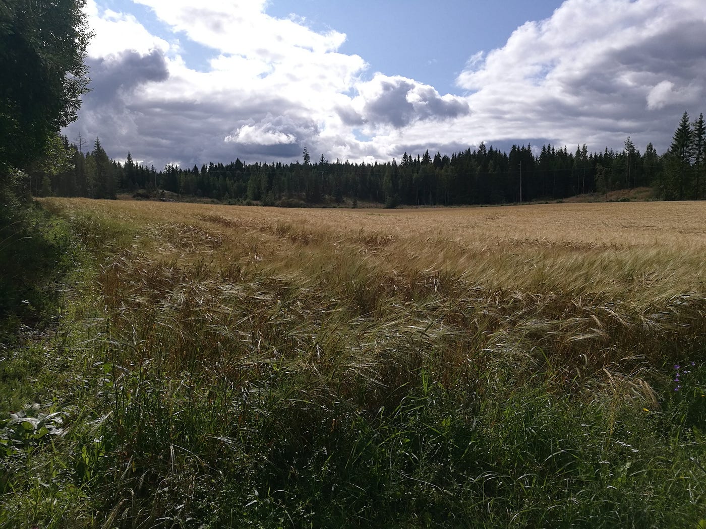 Haaveeni asuu punaisessa talossa
