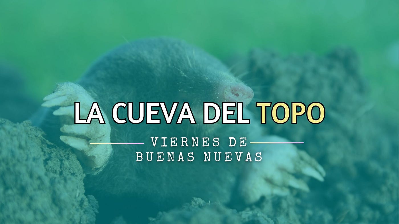 Sanidad para los ciegos