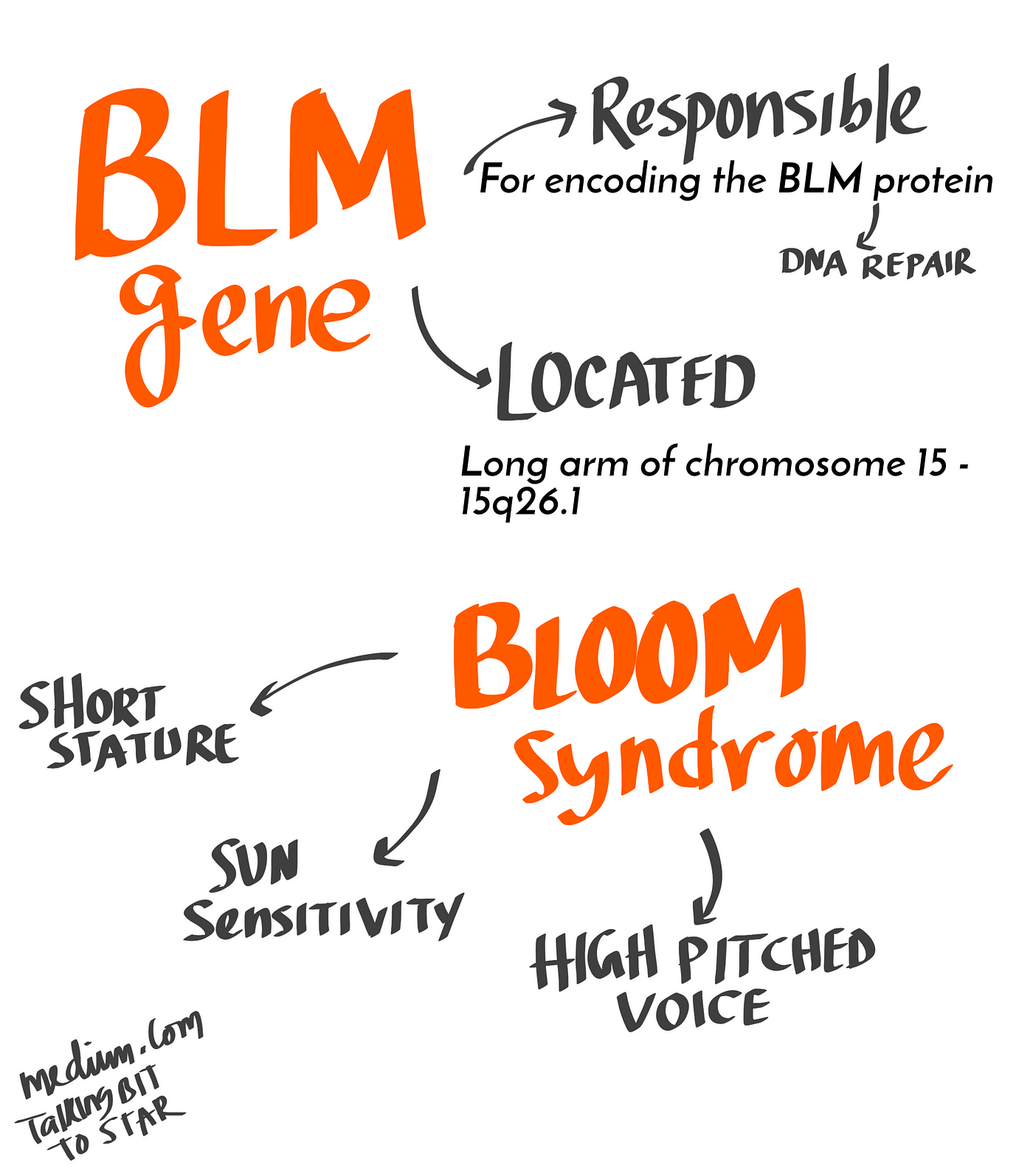 Bloom Syndrome: Facts, Symptoms, Causes, Treatment