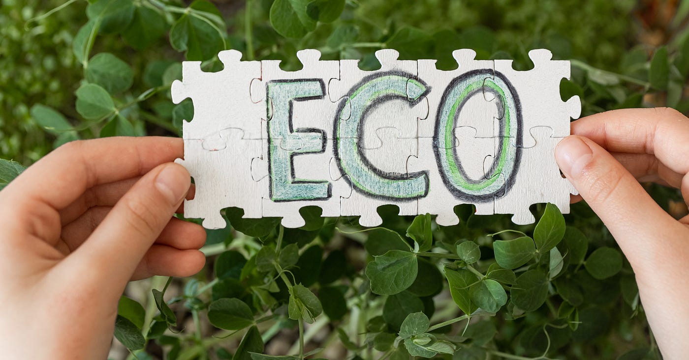 7 Simple Eco Actions That Make a Big Environmental Impact