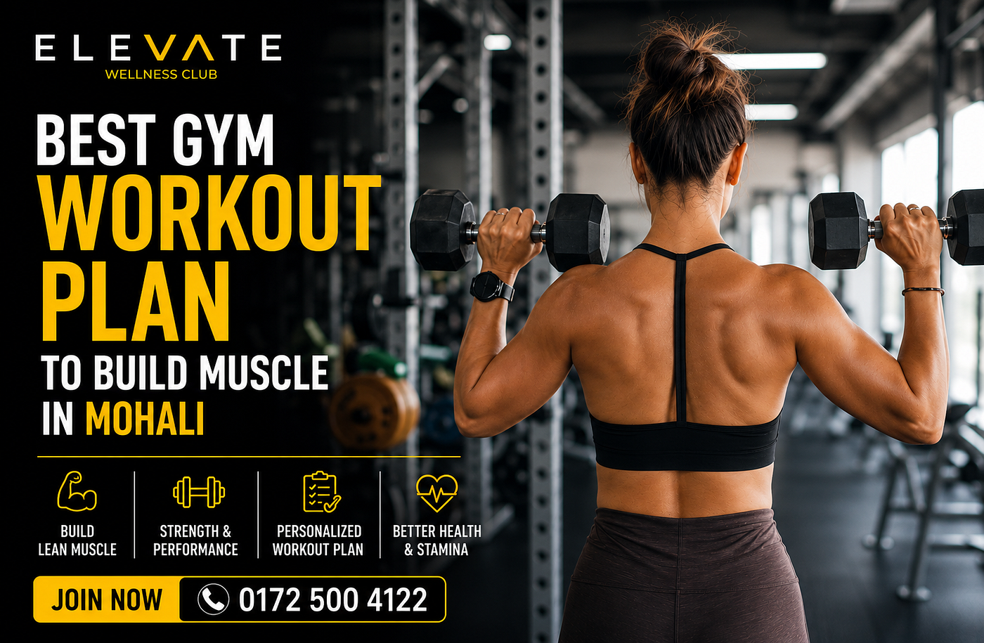Best Gym Workout Plan to Build Muscle in Mohali