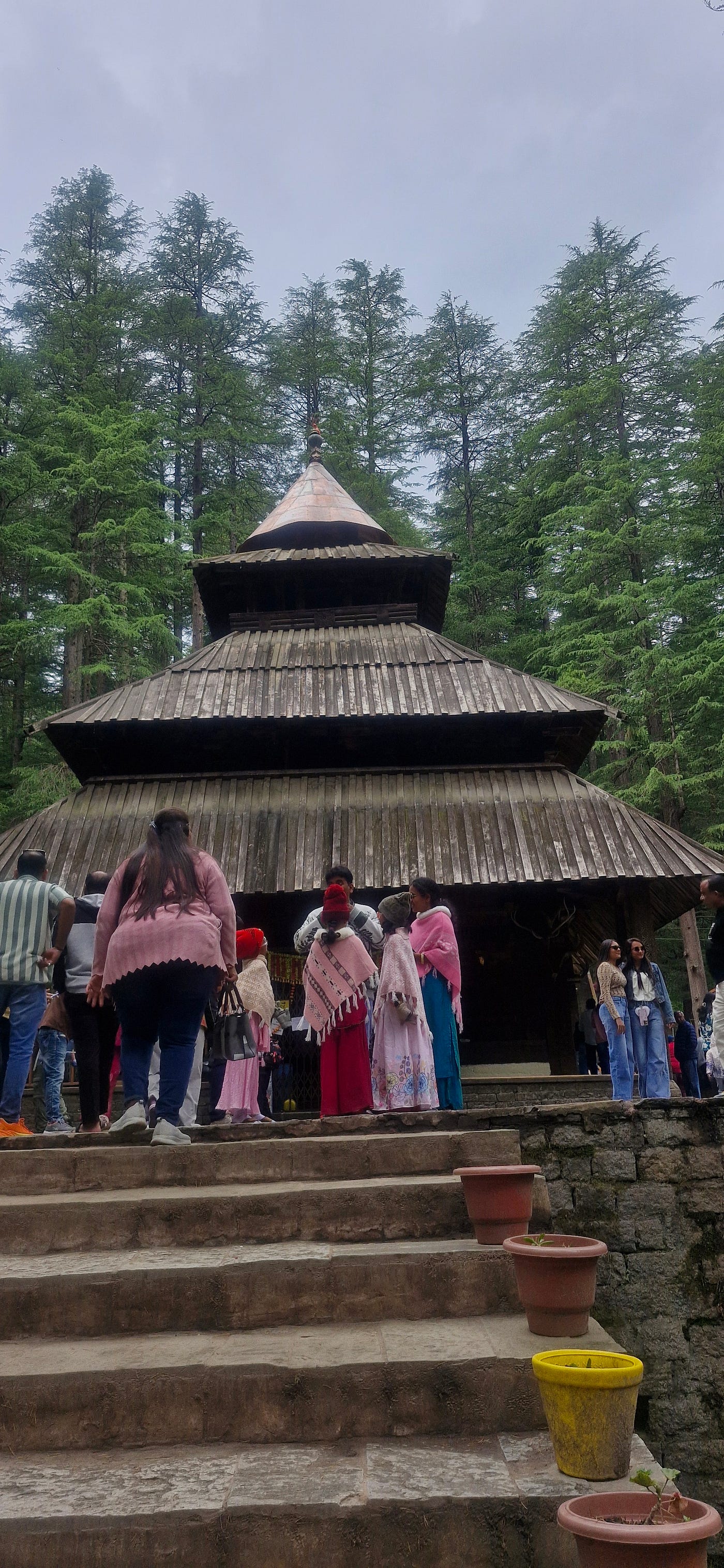 Where the Forest is the Temple and the Temple is the Forest