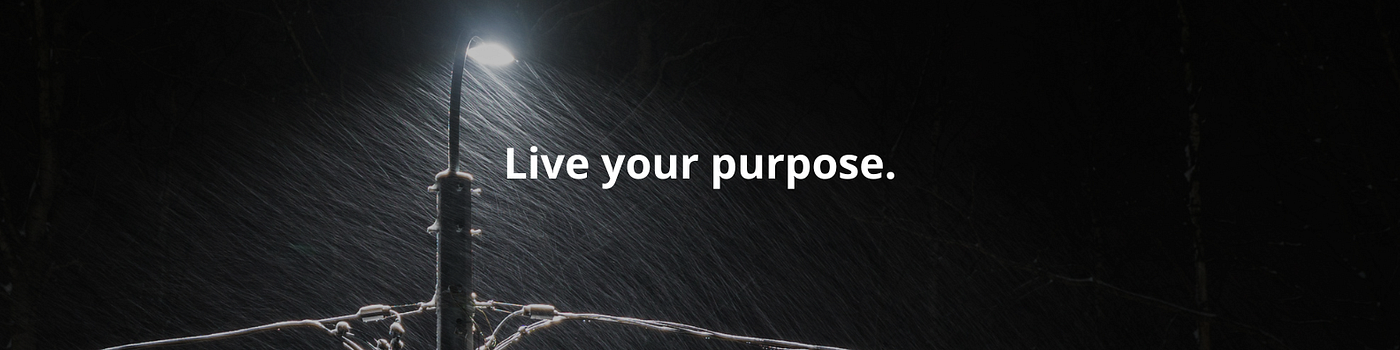 My Coaching Metaphor: A Journey to bring Clarity to another and live my purpose