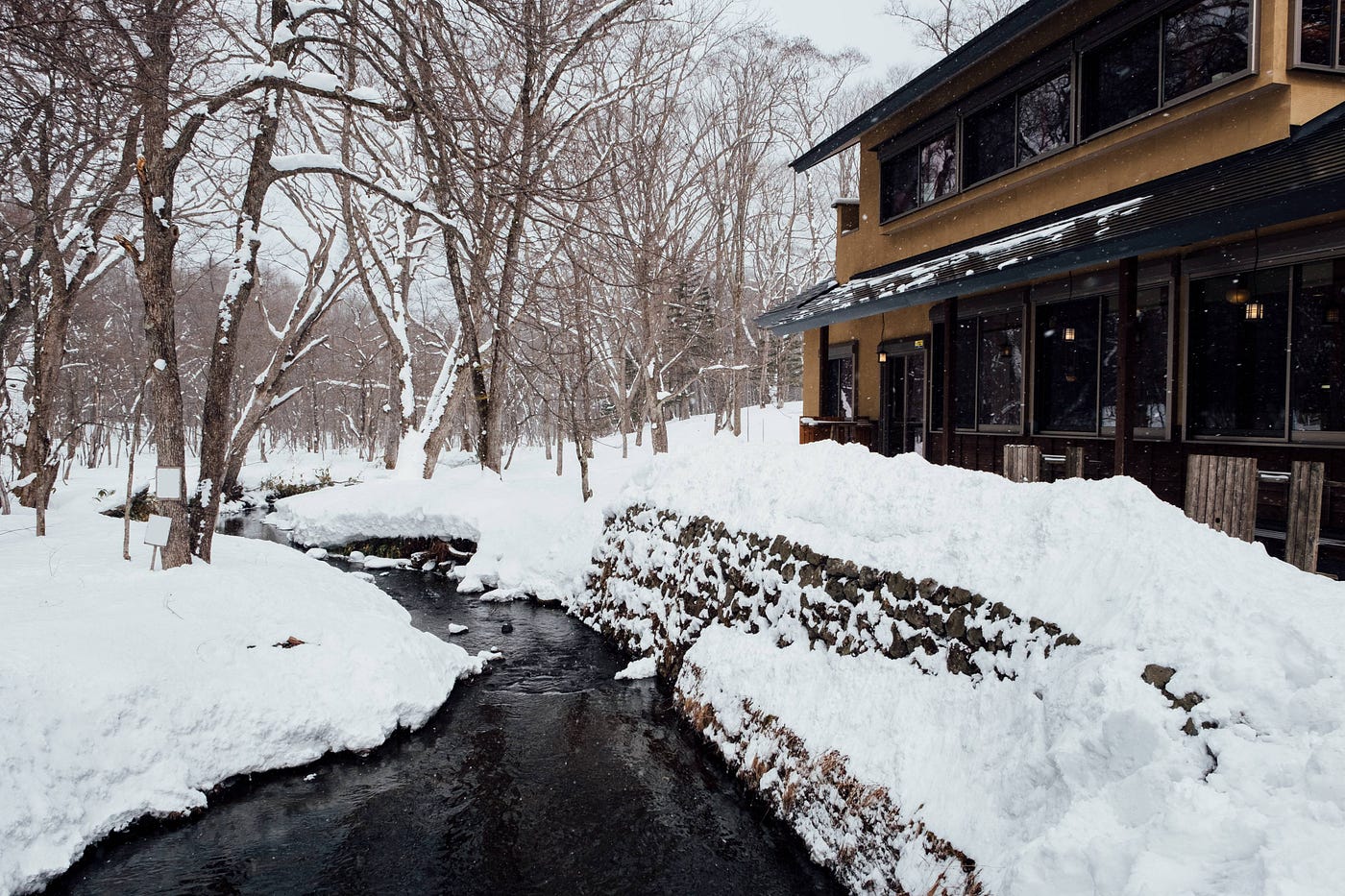 Why Businesses Should Always Consult a Snow Expert in Winter
