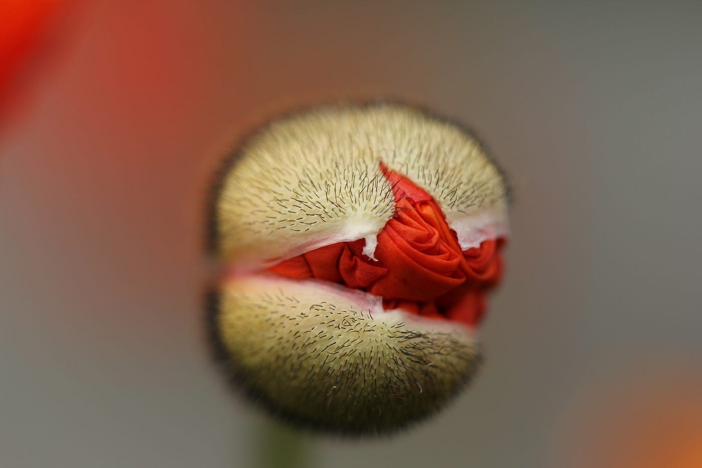 Photo by Sandy Millar on Unsplash