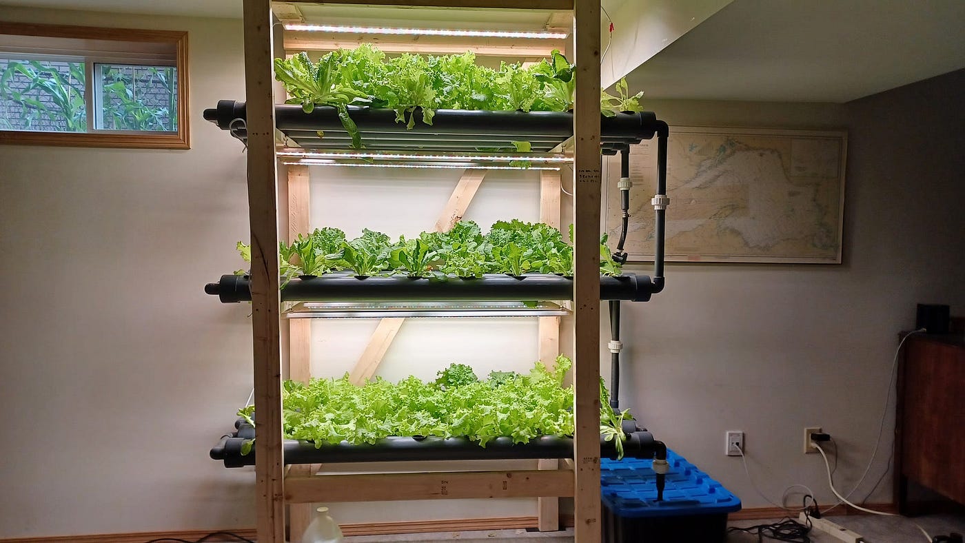 How to Do Hydroponics at Home
