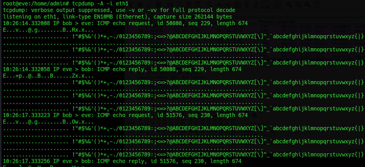 L2 MAC Flooding & ARP Spoofing. Learn how to use MAC Flooding to