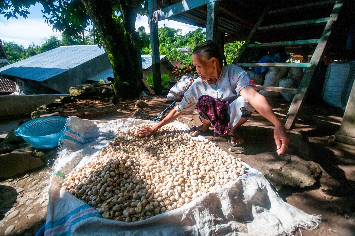 Candlenuts Substitute