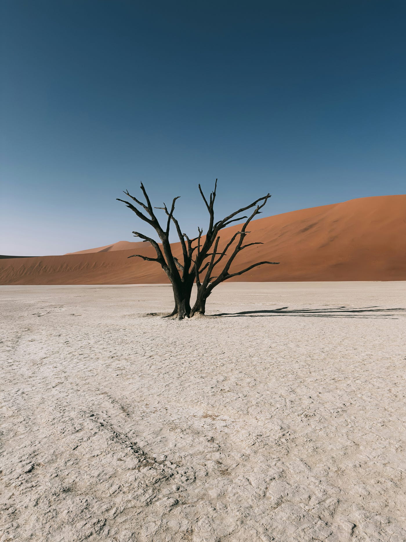 Photo by NIR HIMI on Unsplash