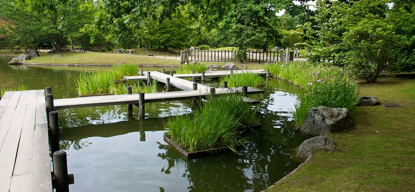 A Japanese oasis in the heart of Belgium