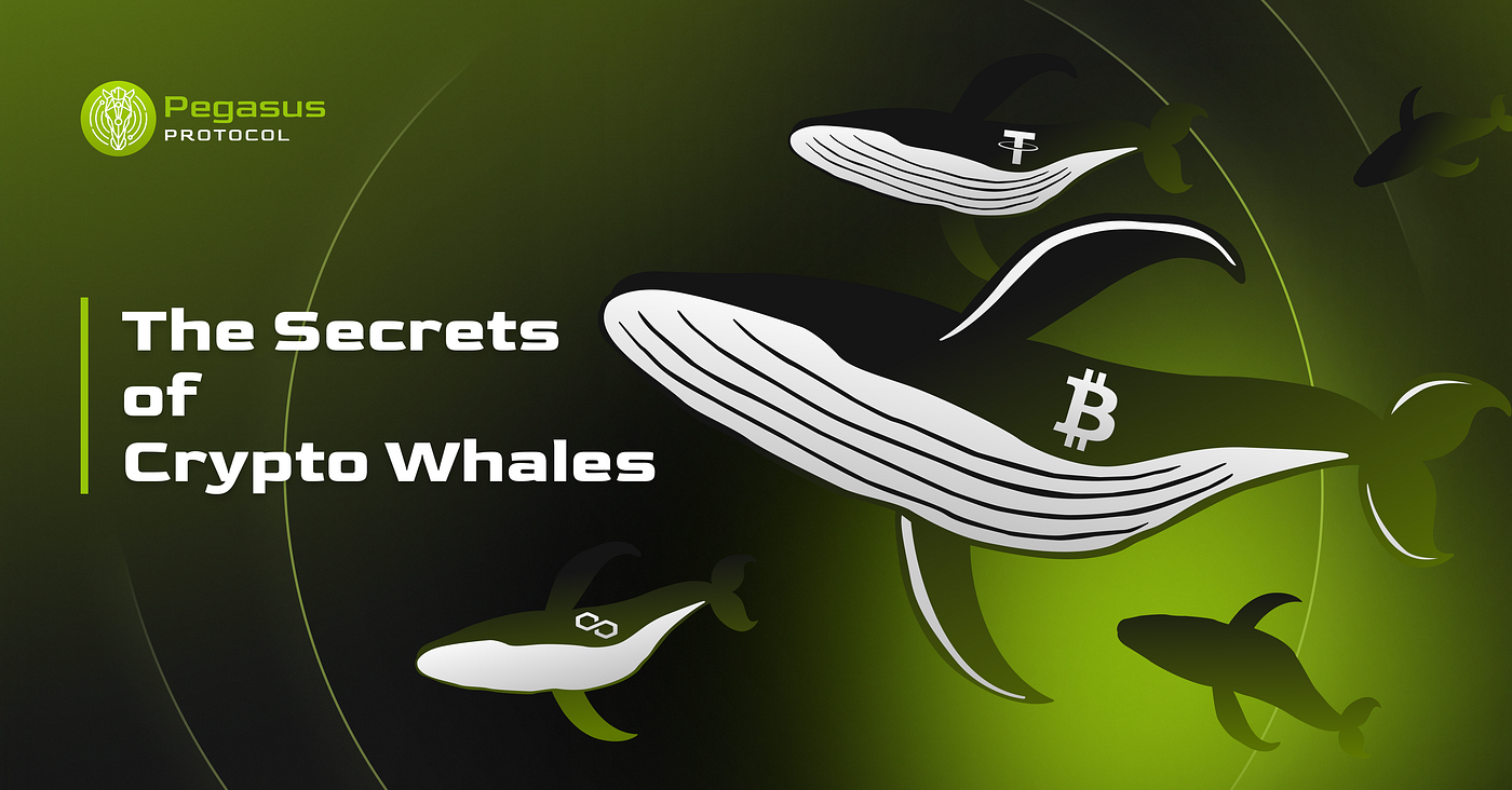 Unraveling the Secrets of Crypto Whales 🐋 : How to Unmask Their Presence |  by Pegasus Protocol | Medium