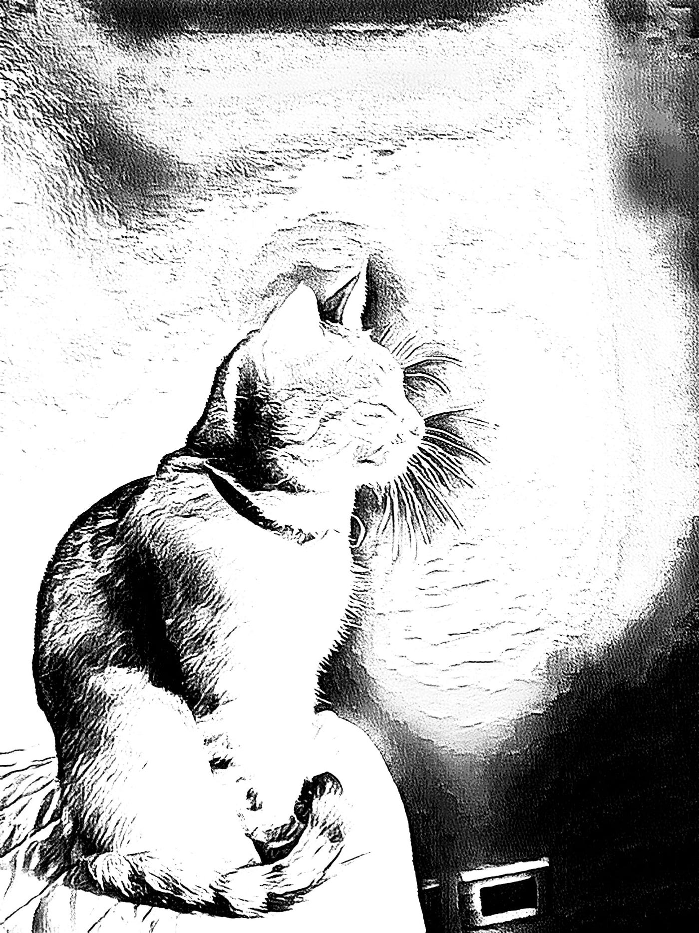 Visite notturne