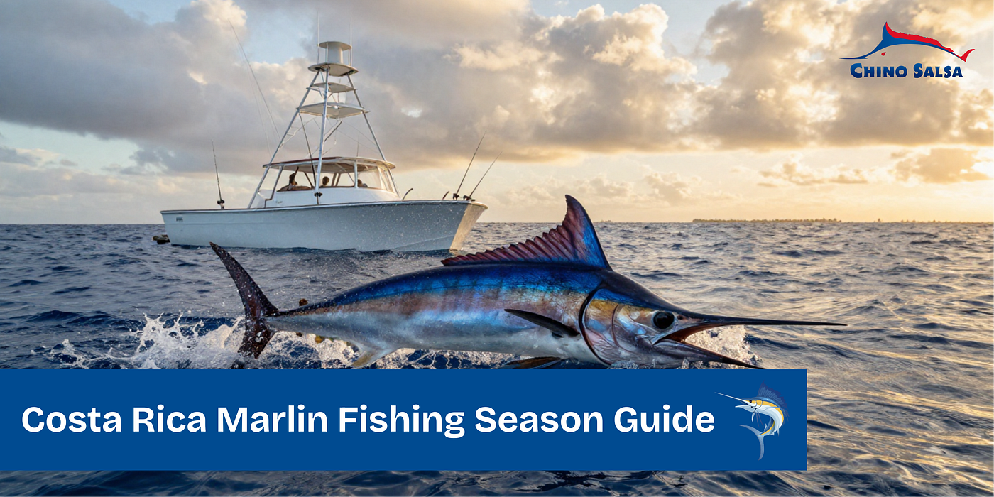 Costa Rica Marlin Fishing Season Guide