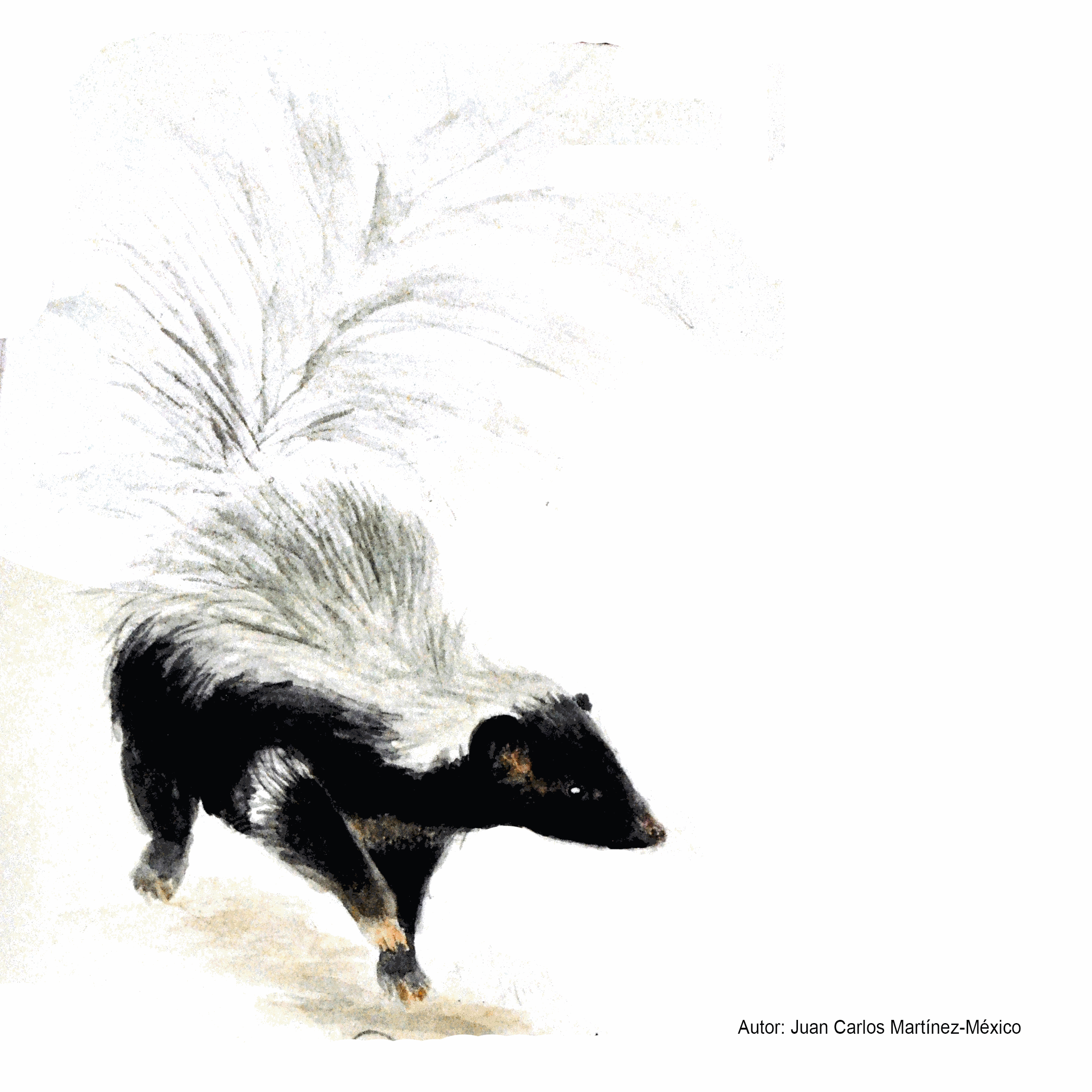 Historias de animales en cuarentena. Día 4