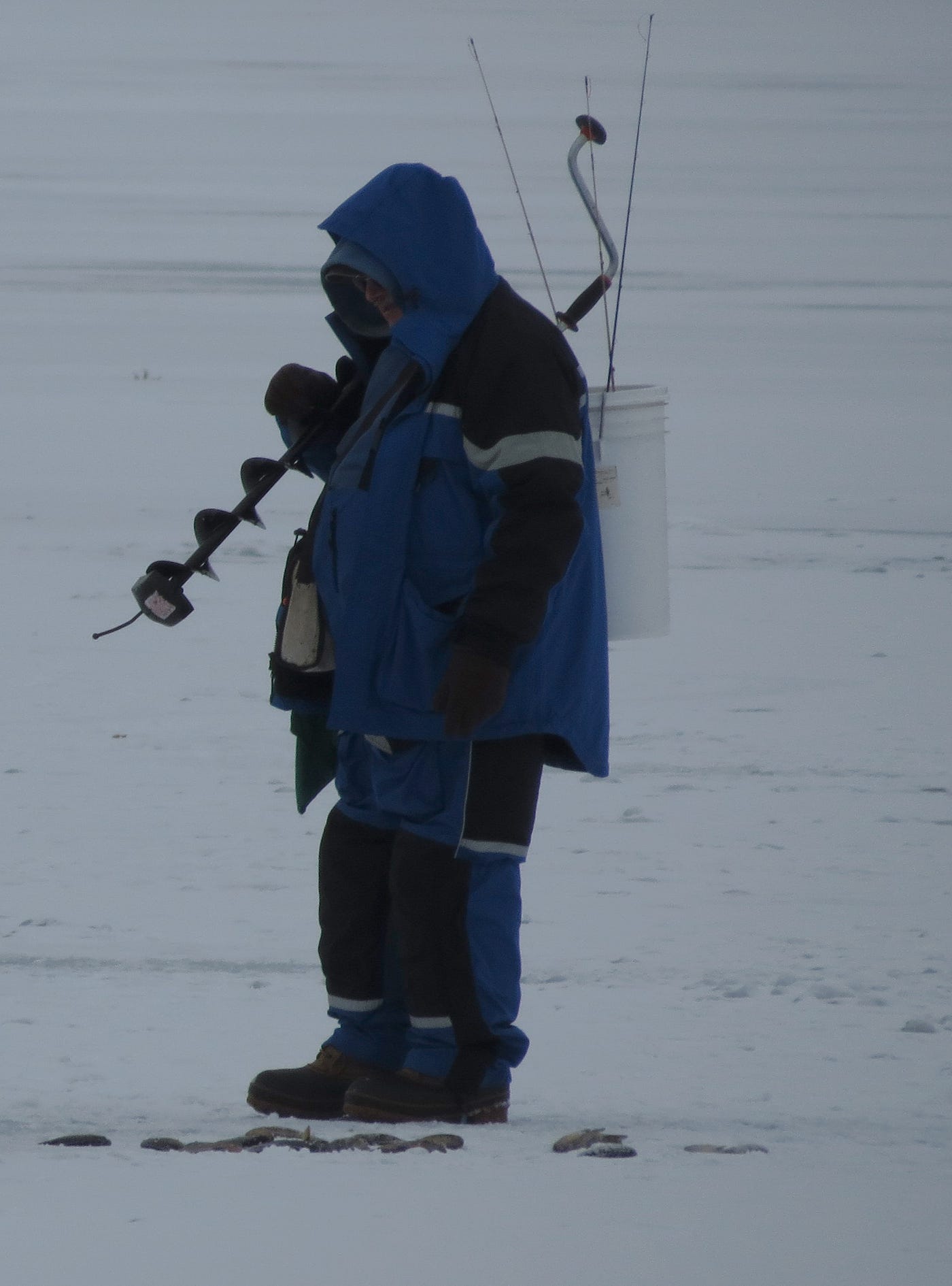 Ice Fishing Adventures. Quick, Before It Melts!, by Dawn Ulmer, ILLUMINATION