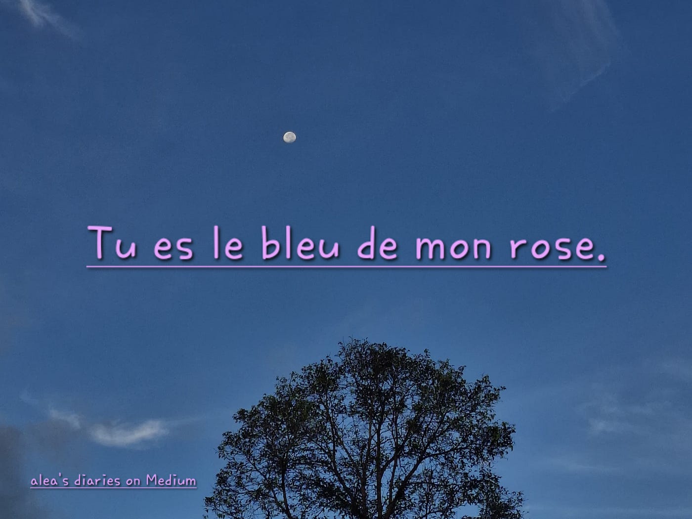 Blue to My Pink | Lune’s Diaries