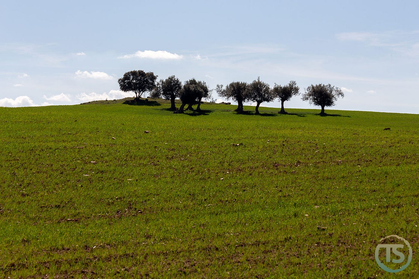 Alentejo: o que visitar num roteiro entre planícies, vilas históricas e paisagens com alma