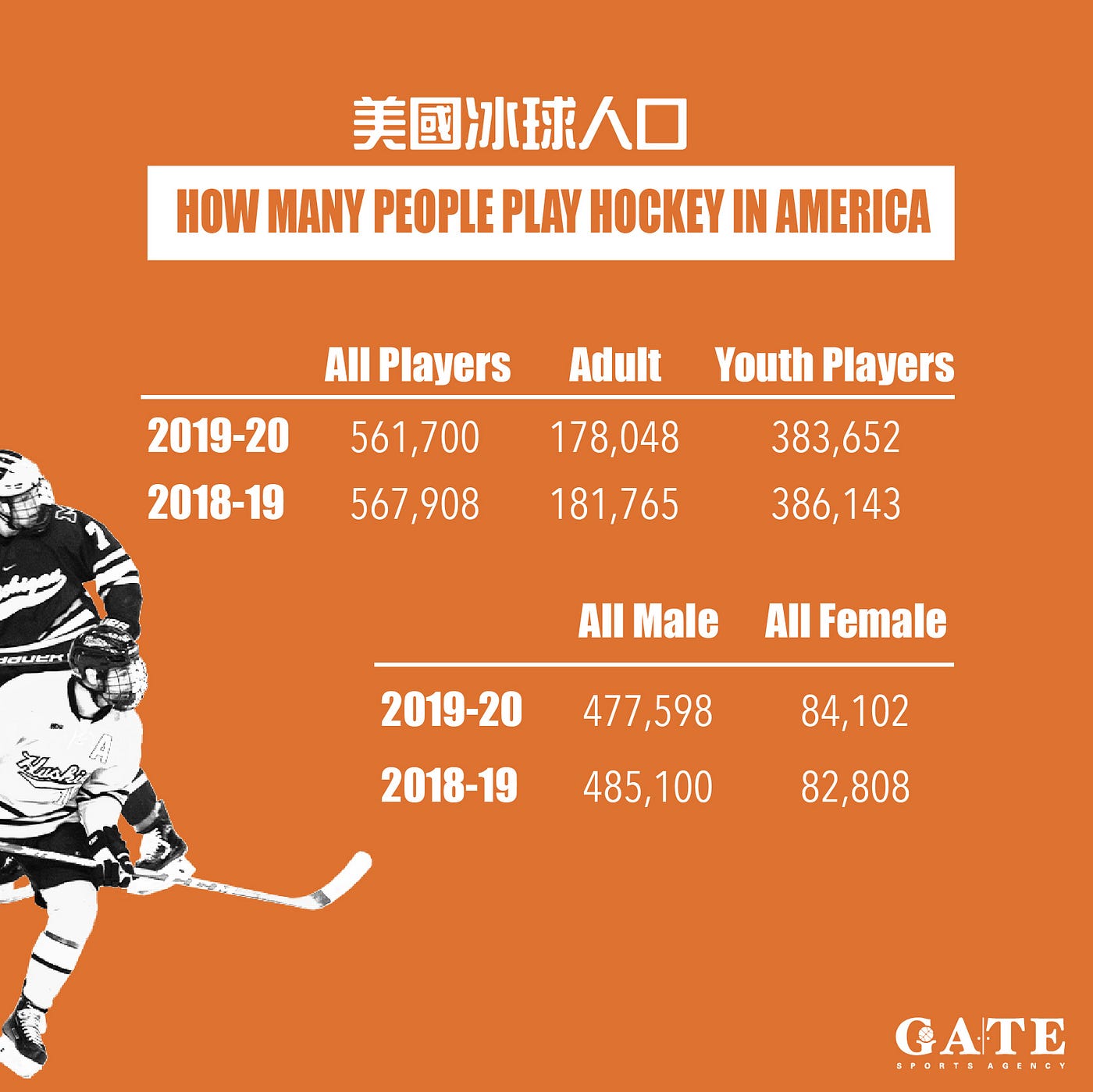 GATE 帶你認識美國運動職業聯盟－美國冰球Hockey in the U.S. | by GATE Sports Agency | Medium