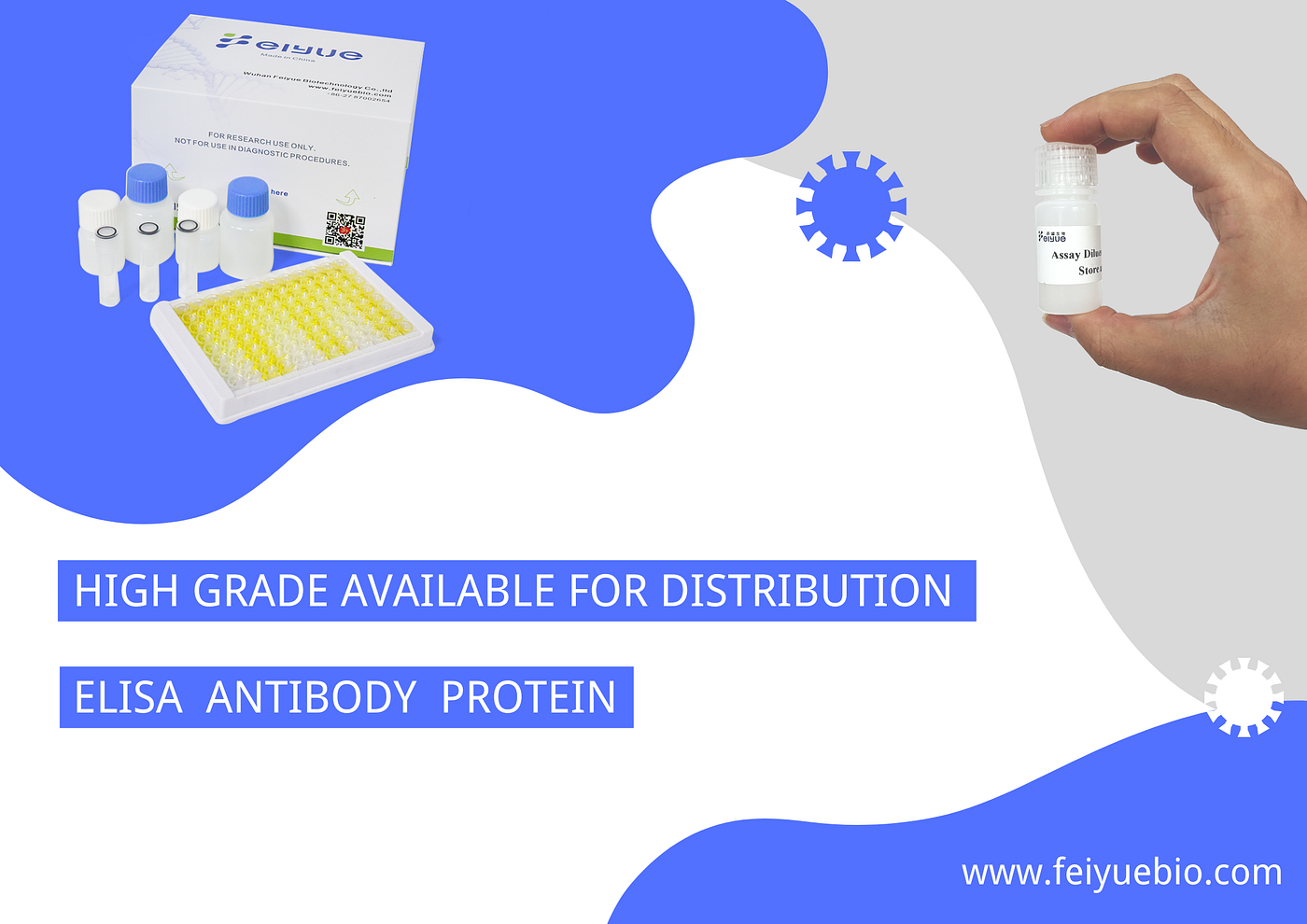 Human Tau Protein (MAPT) ELISA kit
