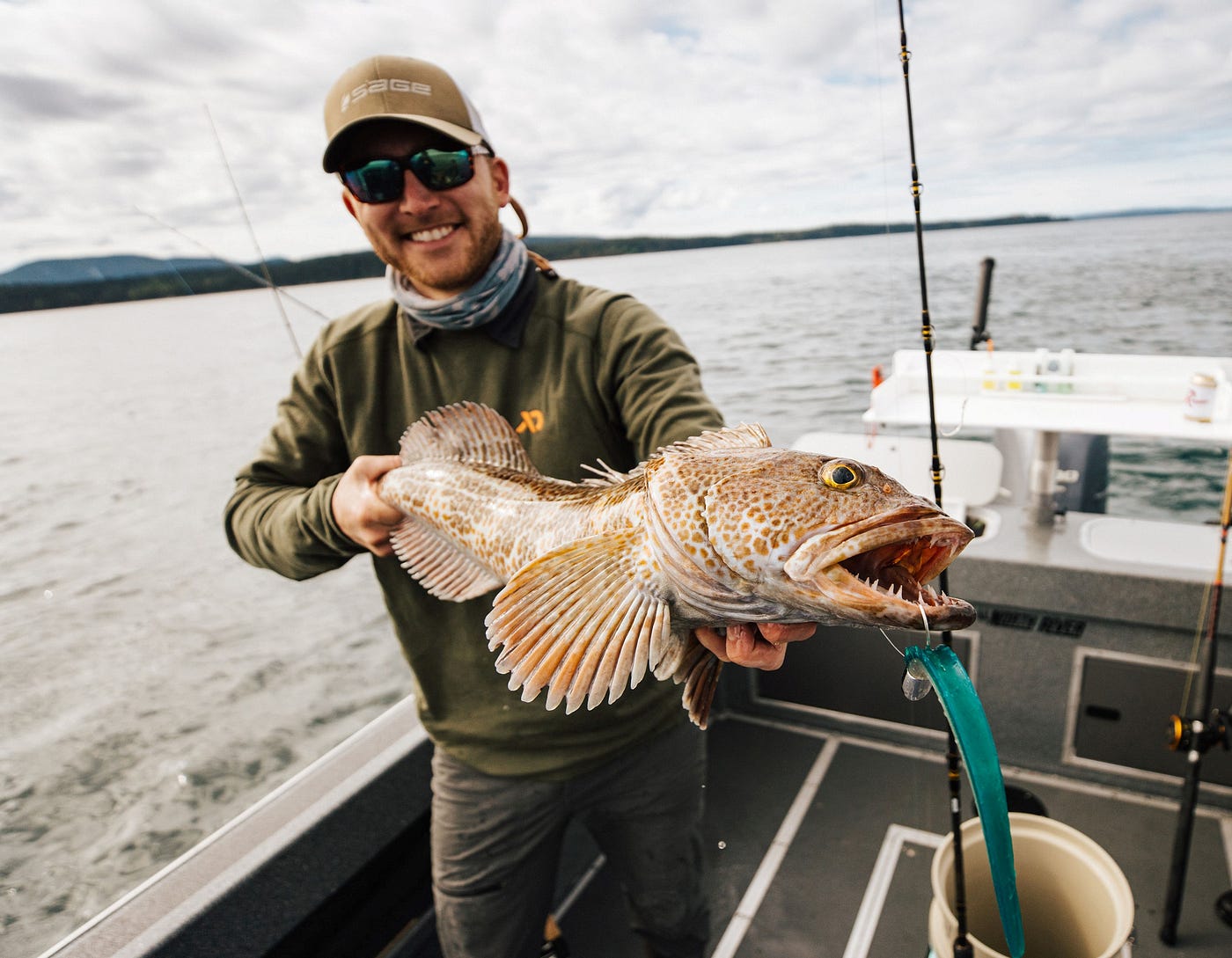 Key in on structure around Puget Sound for hard-fighting lingcod, by The  Washington Department of Fish and Wildlife