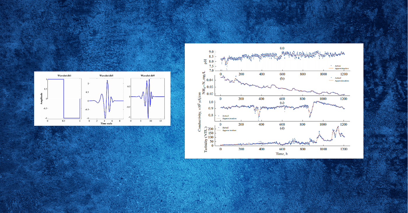 What Can Wavelet Transforms Be Applied for