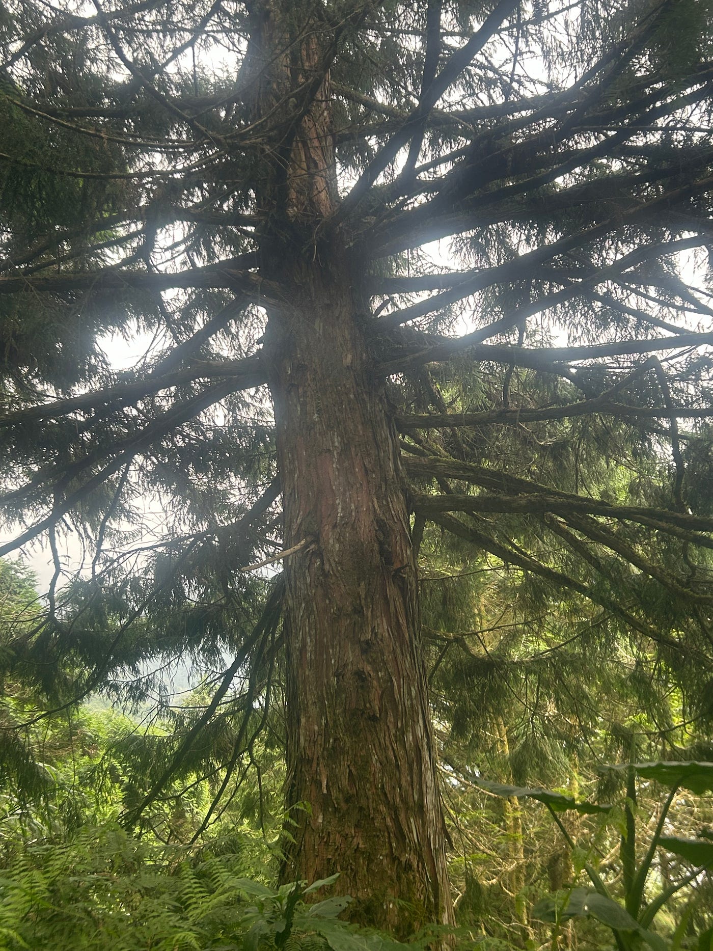 第一章: 山雨欲來
