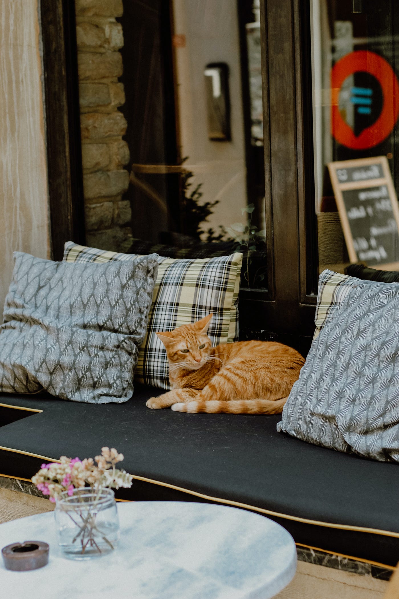 12 Best Cat Cafes in the US for Kitty Cuddles and Coffee