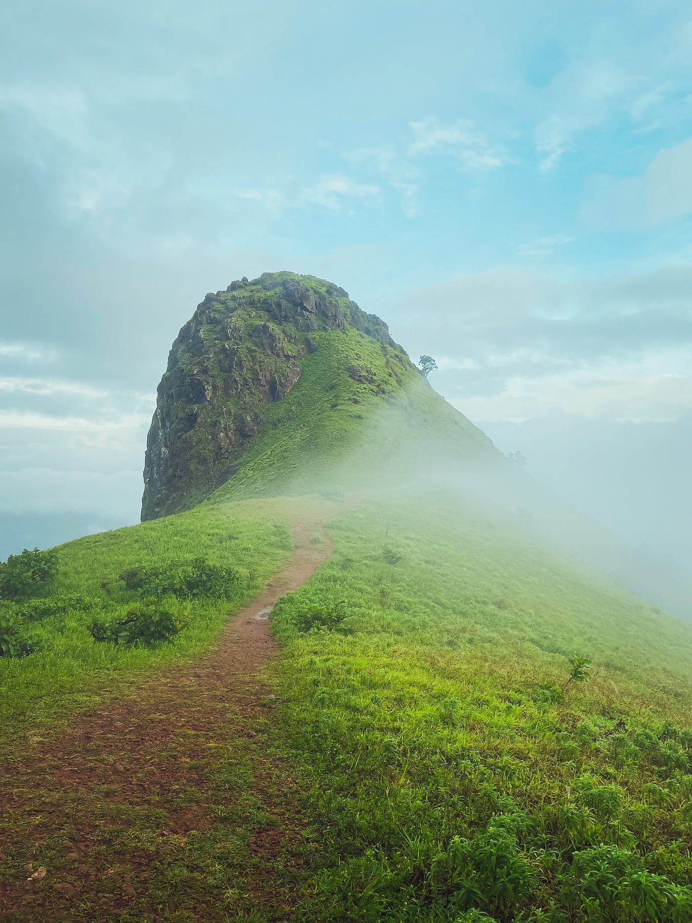 Exploring The Hidden Gem Of Chikkamagalur My Memorable 48 OFF