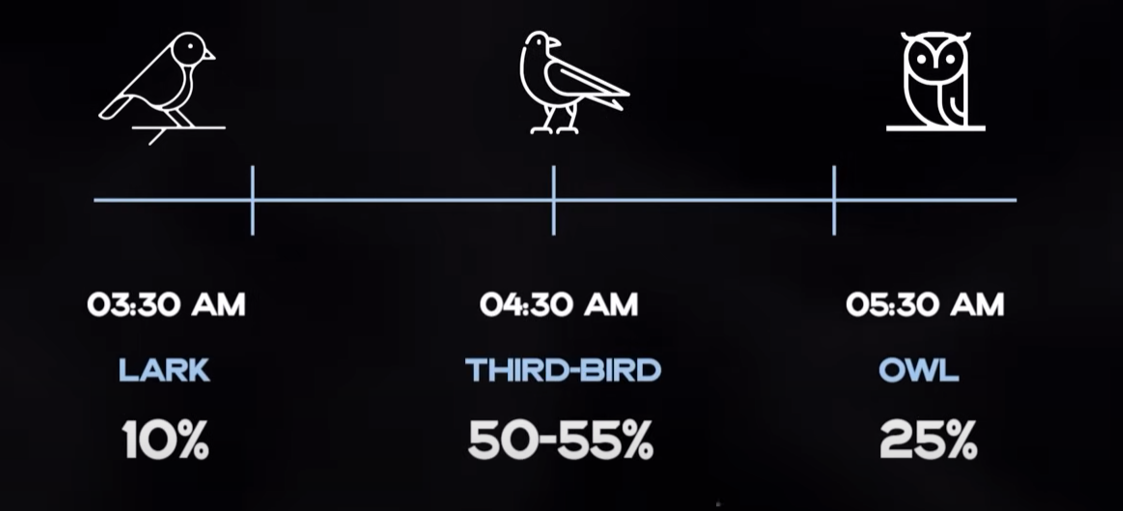 "Lướt Sóng" Năng Lượng: Cách Điều Chỉnh Công Việc Theo Nhịp Sinh Học Cá Nhân