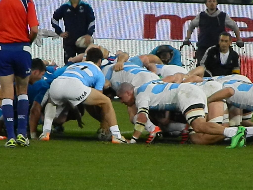 Rugby. Gli argentini sono i Pumas per un errore di un giornalista | by  Mario Bocchio | La leggenda del rugby | Medium