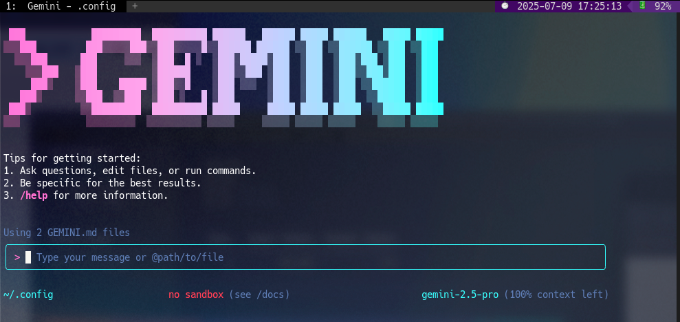 ターミナルがダサいとモテない。gemini-cliでLinuxのKernel Parameter