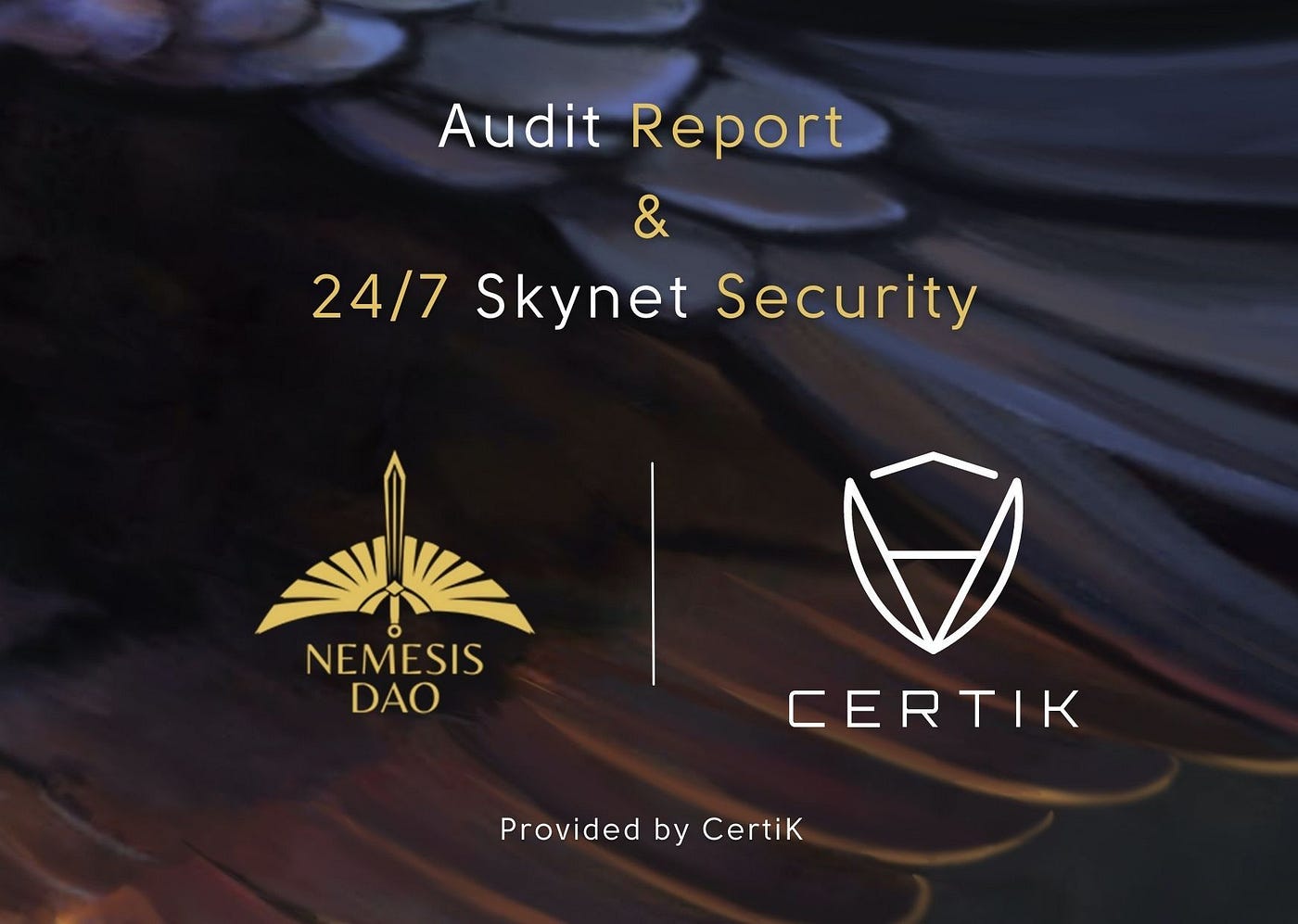 The Audit: CERTIK - Nemesis PRO - Medium