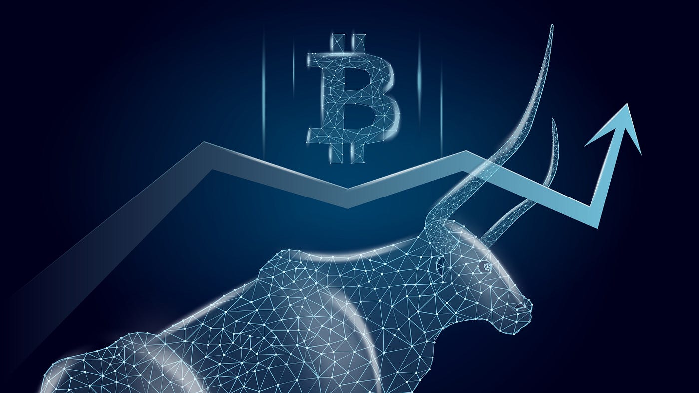 The Mother of All Crypto Bull Runs Has Officially Begun | by Anthony J  Lynch | Coinmonks | Medium