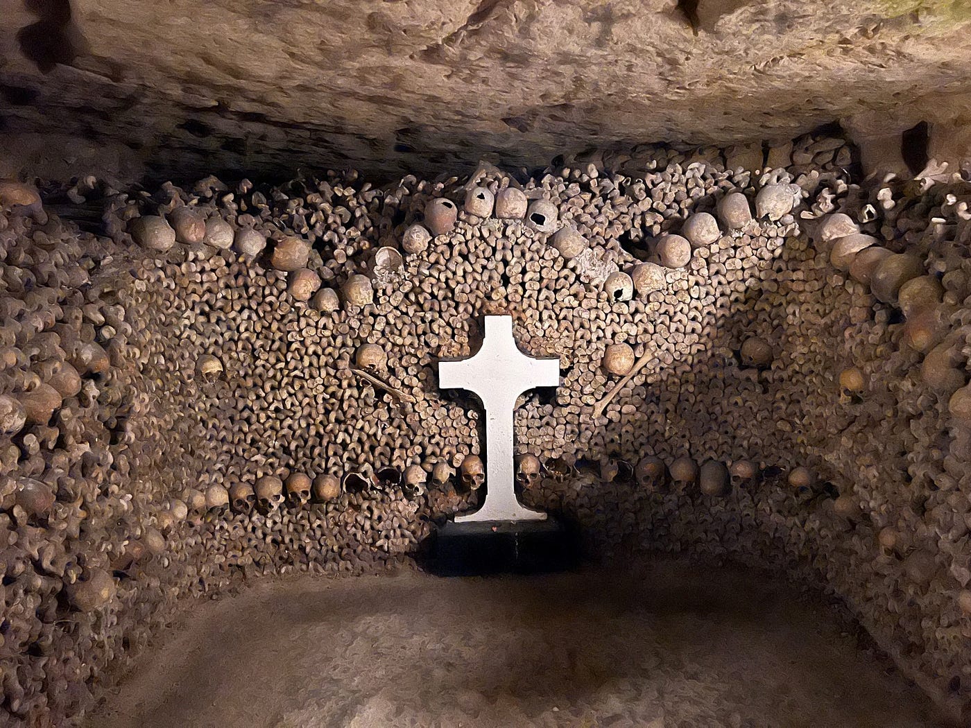 Reflecting on Life with the Dead. Reflecting on Life with the Dead