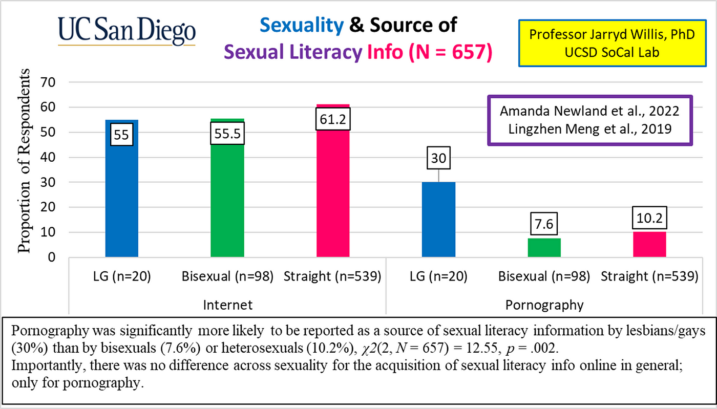 🌈Pornography As Sexual Literacy