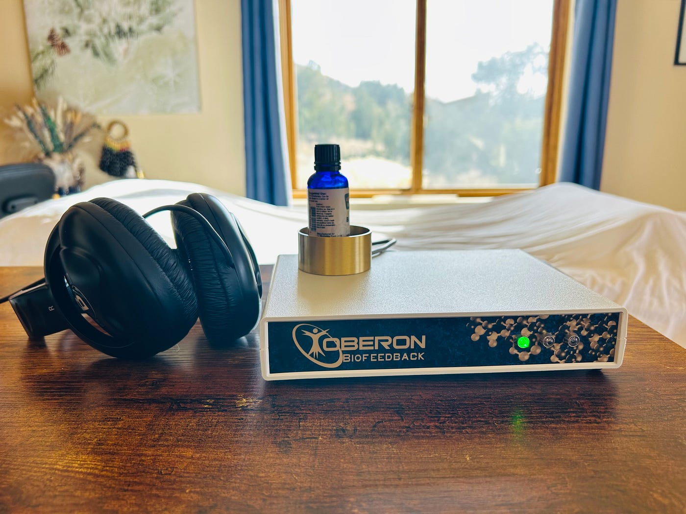 From the Wrestling Mat to Biofeedback: Learning to Listen to the Body