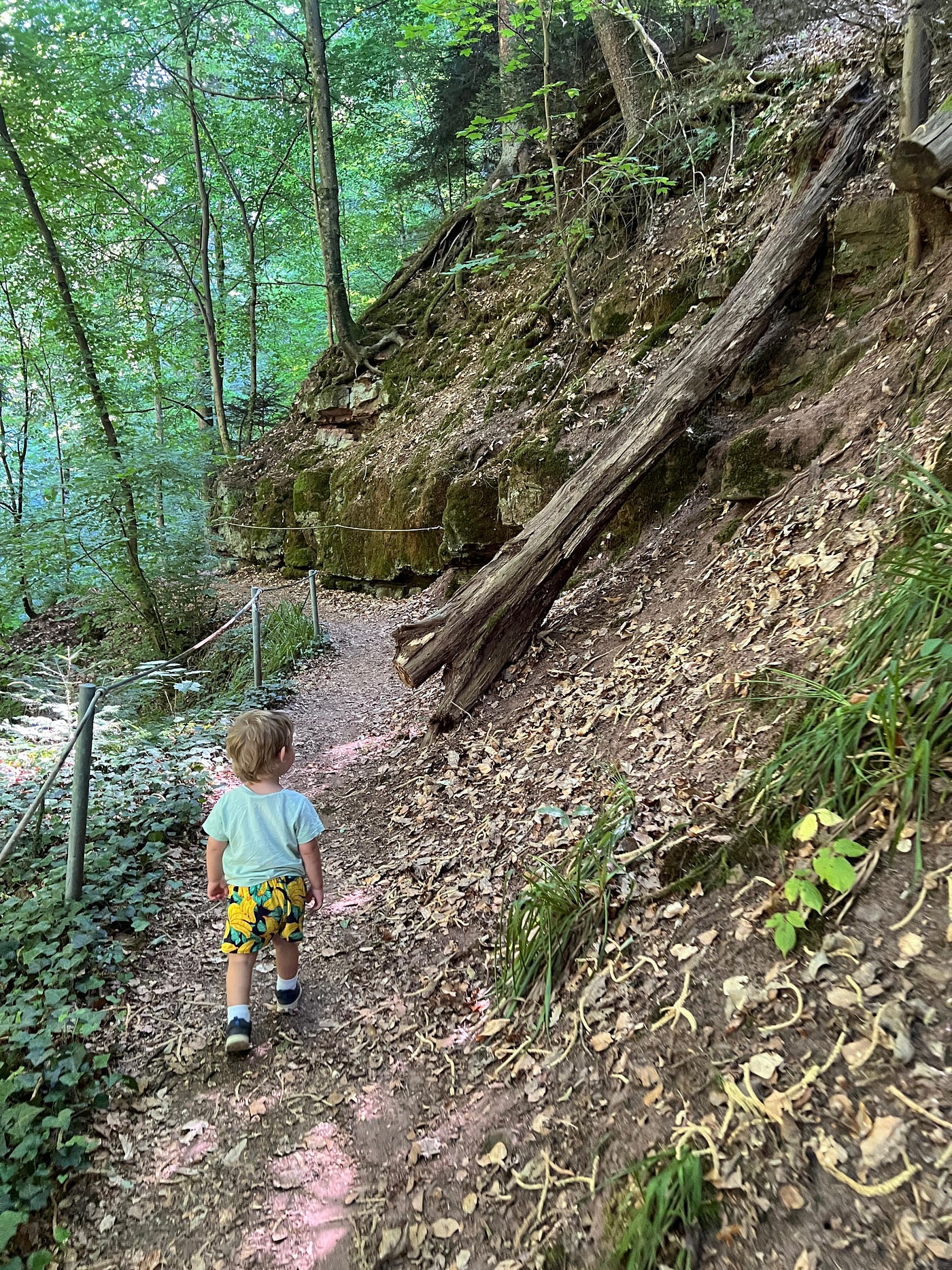 The toddler on the trail which was written as not suitable for children under five years. | Photo credits: Anne Bonfert