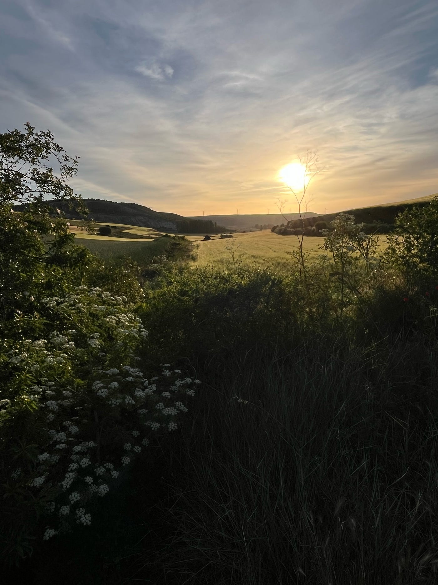 Day 16 on the Camino — Having fun and eating a lot