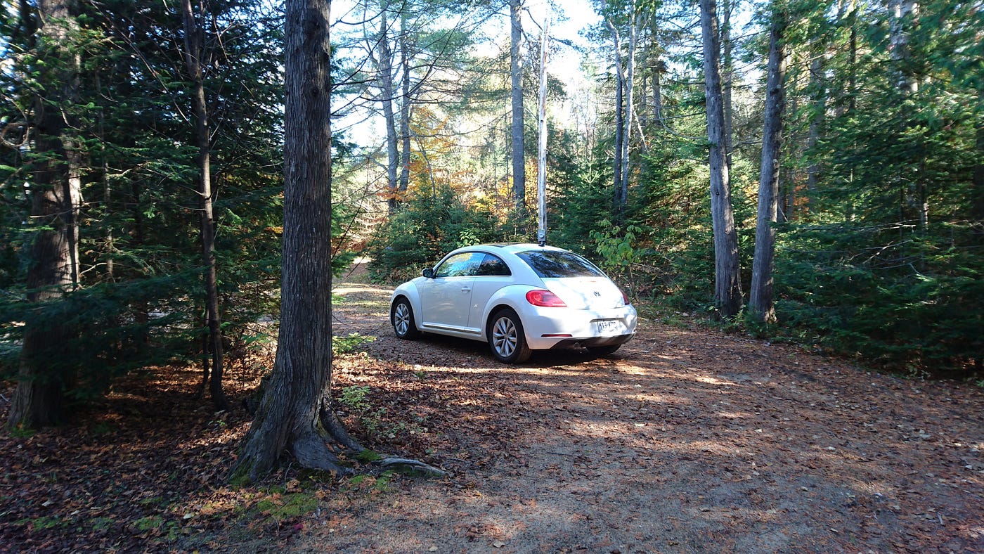 2012–2019 Volkswagen Beetle Used Car Review From An Actual Owner, by Angus  Woodman