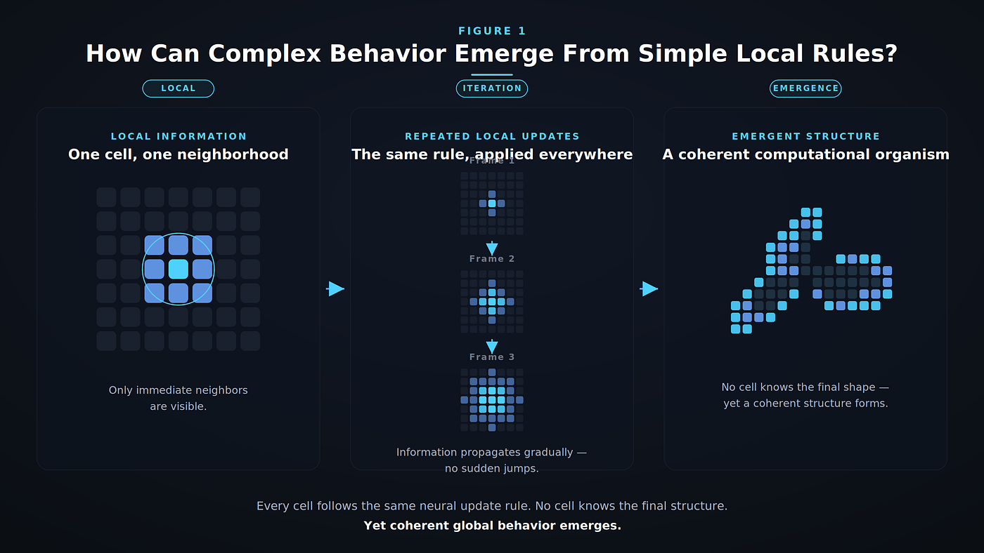 How Can Complex Behavior Emerge From Simple Local Rules?