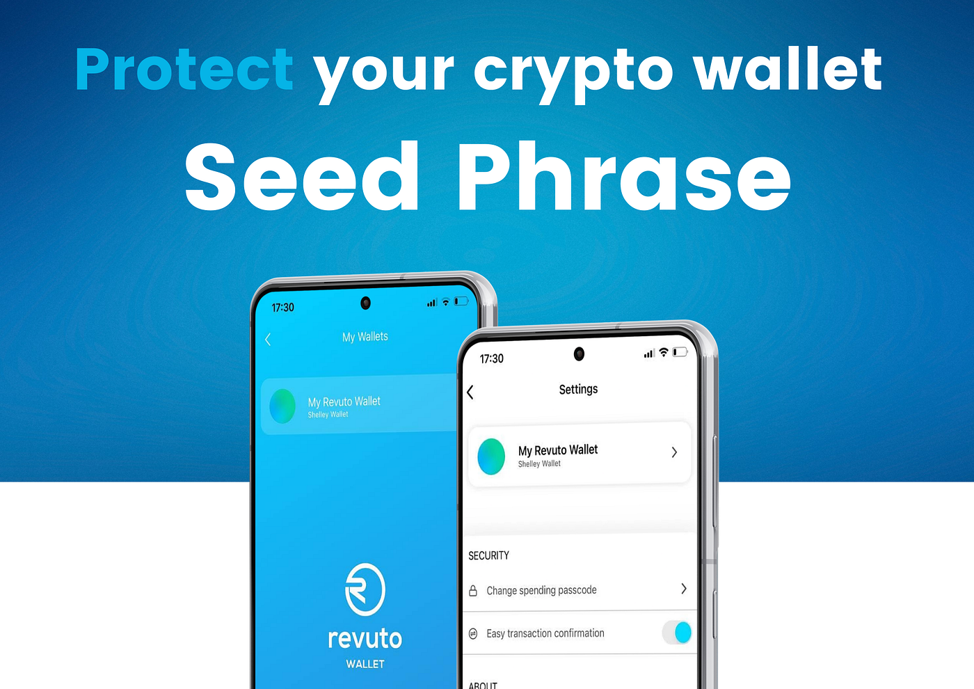 How to Protect Your Crypto Wallet Seed Phrase | by Revuto | Medium