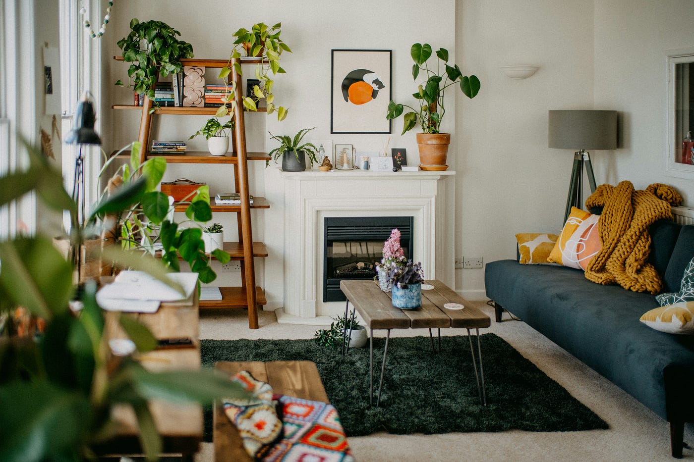 Photo by Annie Spratt on Unsplash